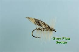Grey Flag Sedge